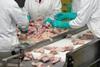 Workers at chicken processing factory.