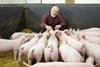 Andrew Palmer Knowledge Exchange Relationship Manager AHDB with indoor pigs Copy
