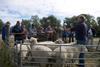 Farmer Howard Bates with guests on the Lamb Tour