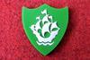 Blue Peter Green Badge