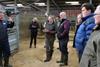 Staff from Jim Peet (Agriculture) Ltd attend a beef live to dead event at Dunbia’s primary beef plant in Sawley