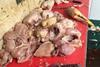 Southwark Council unfit meat
