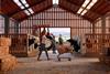 Red Tractor Advert - Shopping Trolley in Cow Shed