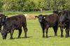 Boost for Agricultural Infrastructure
