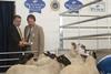 QMS Chairman Jim McLaren (left), pictured with Martyn Jones, Group Corporate Services Director, Morrisons pictured with the prototype equipment being demonstrated on the QMS stand at the Royal Highland Show.