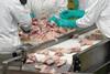 Workers at chicken processing factory.