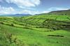 iStock-Irish-countryside-Ireland-Dingle-County-Kerry