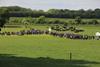 Some of the 2,000 farmers who attended the Dawn Meats farm open day at the Newford Suckler Demonstration Farm in Athenry.