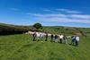 Italian visit to Merthyr Cynog farm