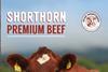 shorhorn-website-pic-5