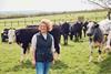 Lidl beef suppliers