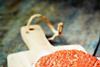 Raw Ground beef meat Burger steak cutlet