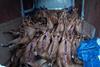 Sheep carcasses thought to be subject to smoking process discovered in a van in London Monday 25 November 2024
