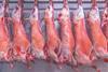iStock lamb carcass