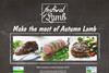 Lamb Specials Cover copy