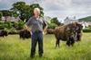 Lord Newborough with Bison herd