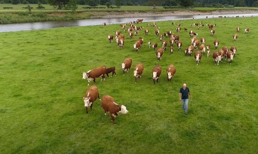 NFU says fresh approach to farming standards required | News | Meat ...
