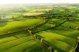 Aerial Green Fields - Bord Bia