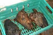 Unfit meat found by Southwark Council