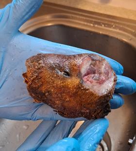 NFCU cane rat seized April 2026