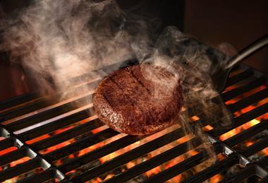 Mosa Meat Burger Grill