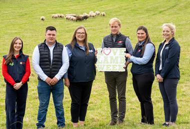 LMC 2026 Love Lamb Week