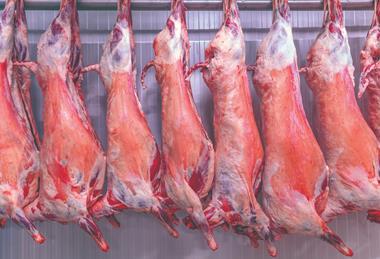 iStock lamb carcass