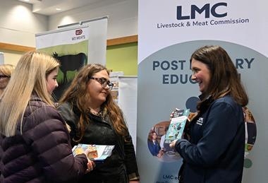 LMC careers fair 2026