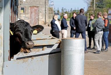 NFU Food and farming fellowship ABP beef animal and MPs