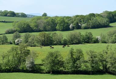 Welsh landscape