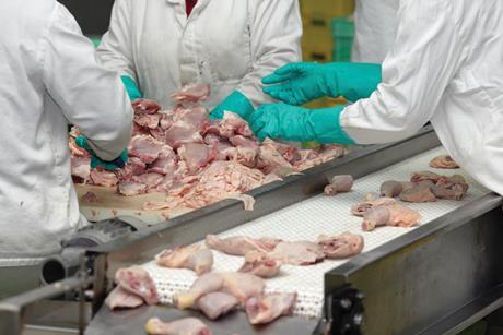 Workers at chicken processing factory.