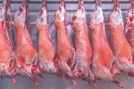 iStock lamb carcass