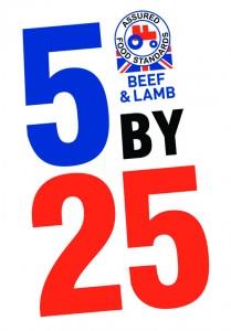5By25 logo w BL cmyk 
