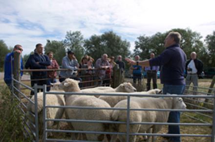 Farmer Howard Bates with guests on the Lamb Tour