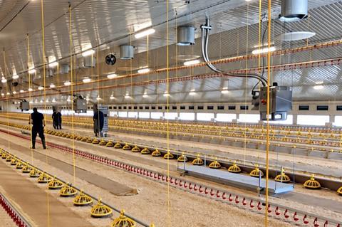 Potton Farm Pilgrim's Europe