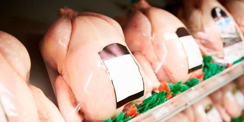 chicken2