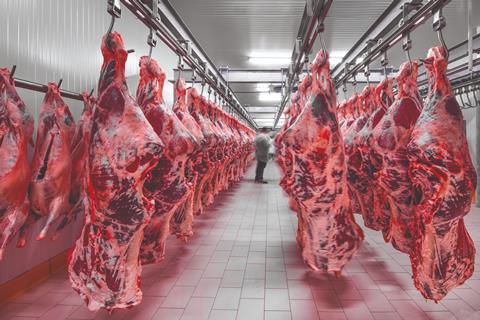 Hanging carcasses abattoir