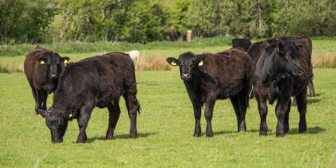 Boost for Agricultural Infrastructure