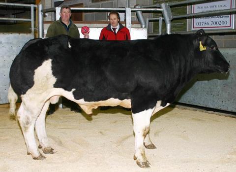 Skipton Auction Mart