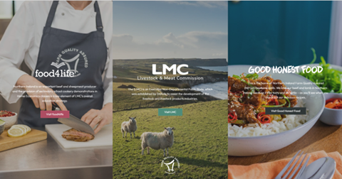LMC website