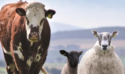 QMS Cattle and Sheep Standards 2020