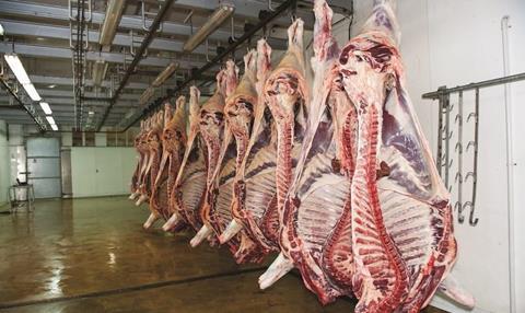 Abattoir  2