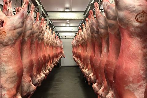 Aubrey Allen new season lamb