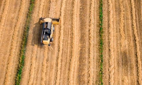 grain farming unsplash Copy 