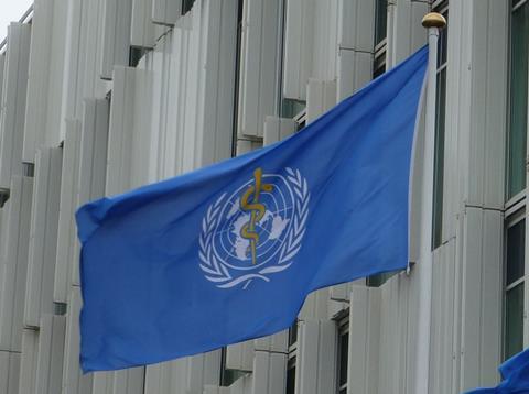 Flag of World Health Organization at UN City