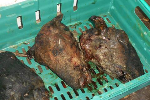 Unfit meat found by Southwark Council