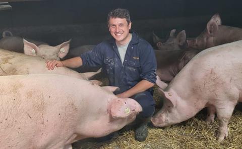 Jamie Wyllie pigs