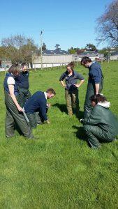 HCC17047 Red meat roundup for Welsh vets 