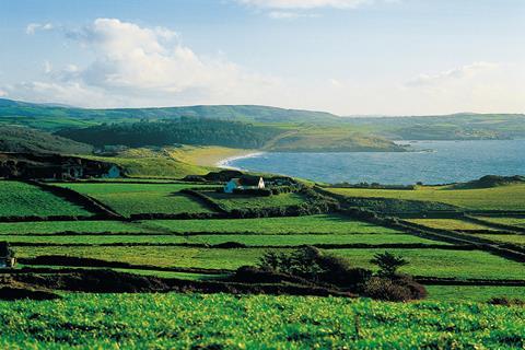 Lake-in-distance_Ireland_Landscape