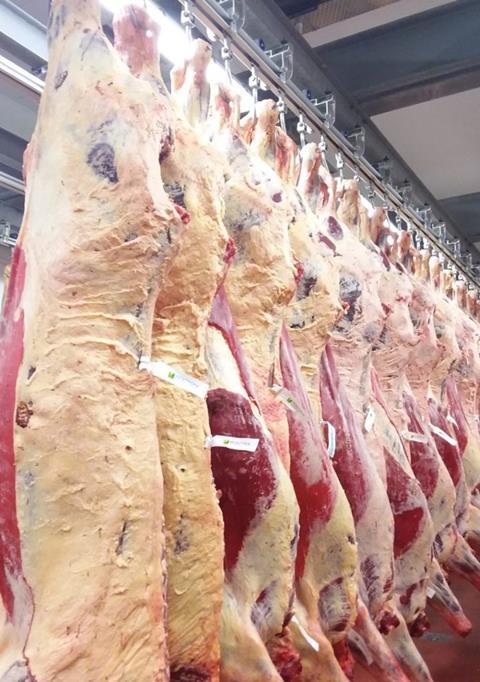 Key beef processor sees uplift in prime cattle hitting market spec 